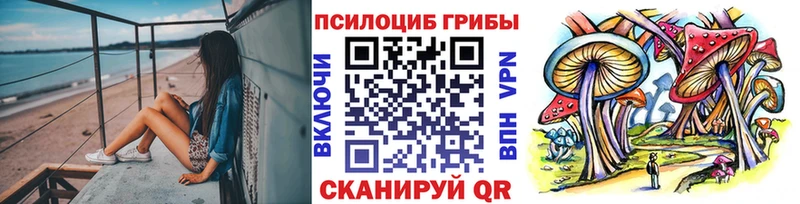 Купить  Тогучин  Галлюциногенные грибы MAGIC MUSHROOMS 